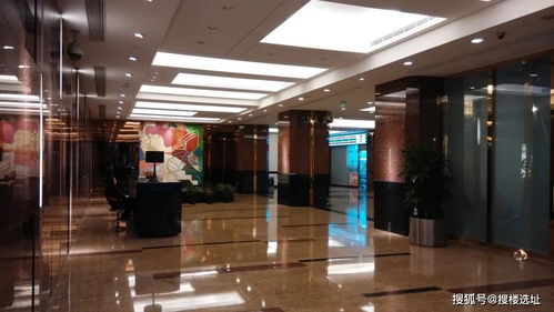 南京東路 人民廣場地區(qū)精品商務樓宇掠影之四 金融廣場 金融業(yè)務的璀璨樞紐